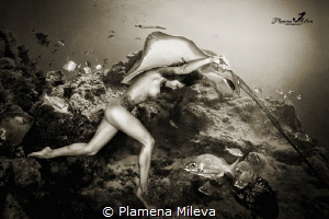 "Fusion" by Plamena Mileva 